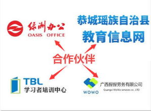 計算機軟硬件開發及集成服務